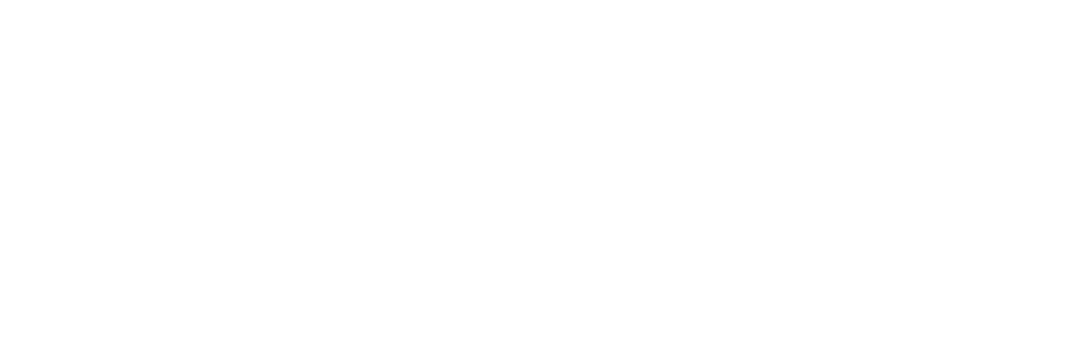 South Carolina Tree Removal Experts